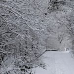 Κακοκαιρία «Μήδεια»: Χιόνια σε πολλές περιοχές της χώρας