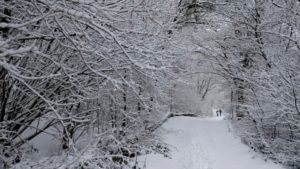 Κακοκαιρία «Μήδεια»: Χιόνια σε πολλές περιοχές της χώρας
