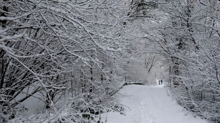 Καιρός: Έρχεται βαρυχειμωνιά με κρύο και χιόνια – Πού θα «χτυπήσει»
