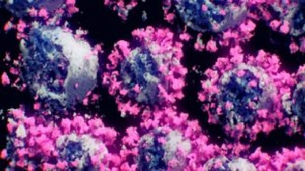 Βατόπουλος – μετάλλαξη Όμικρον: Έρχονται περισσότερα κρούσματα