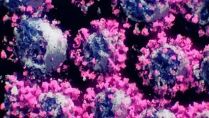 Τα 3 «κλειδιά» για να σταματήσει η εξάπλωση του κορονοϊού