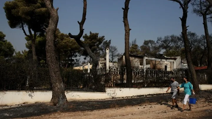 Αττική: Εργασίες απομάκρυνσης καμένων δένδρων από τις πυρόπληκτες περιοχές