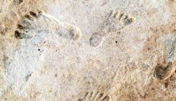 Βρέθηκαν οι αρχαιότερες πατημασιές ανθρώπων ηλικίας 23.000 ετών