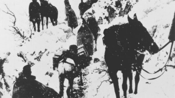 28η Οκτωβρίου 1940: Οι πρώτες ημέρες του πολέμου στη Θεσπρωτία