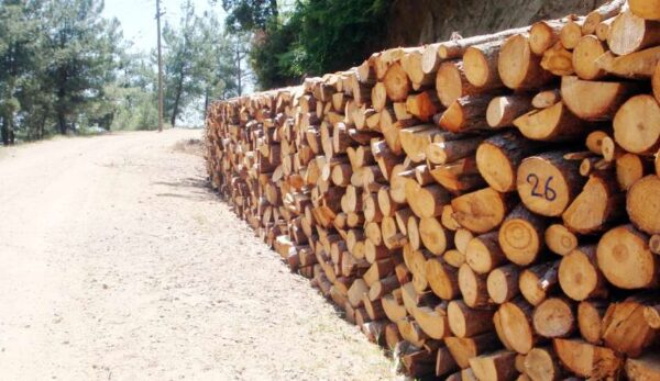 Θέρμανση: Τι πρέπει να προσέξετε όσοι έχετε καυσόξυλα