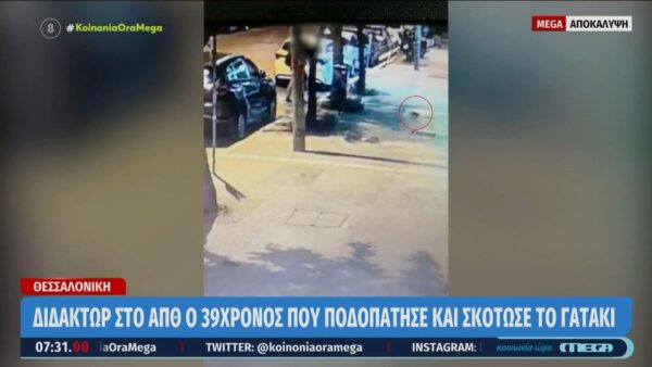 Ο 39χρονος που «έλιωσε» με το πόδι του το γατάκι ήταν διδάκτωρ, ποιητής και συγγραφέας