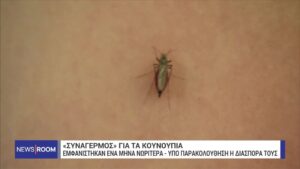 «Συναγερμός» για τα κουνούπια – Τι γίνεται με τον  ιό του Δυτικού Νείλου