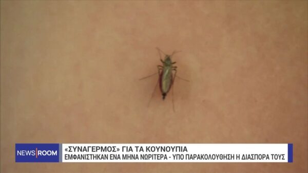 «Συναγερμός» για τα κουνούπια – Τι γίνεται με τον  ιό του Δυτικού Νείλου