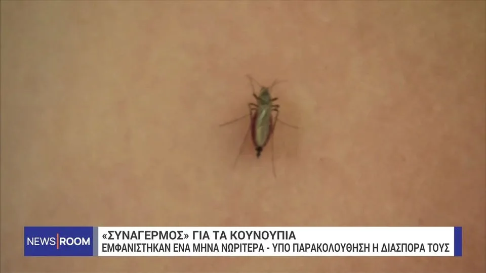 «Συναγερμός» για τα κουνούπια – Τι γίνεται με τον  ιό του Δυτικού Νείλου