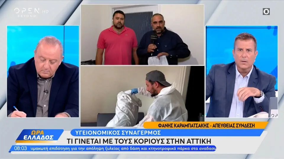 Κοριοί: Ποιοί είναι οι λόγοι που οδήγησαν στην έξαρση – Πώς καταπολεμούνται