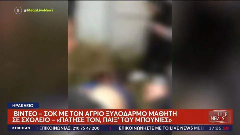 Άγριος ξυλοδαρμός 14χρονου μαθητή μέσα σε σχολείο – Βίντεο