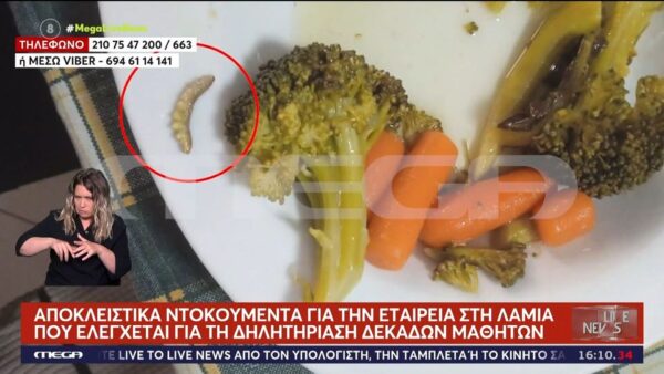 Εικόνες – σοκ από τα χαλασμένα γεύματα – Τρίχες, σκουλήκια και… πούπουλα μέσα στις μερίδες