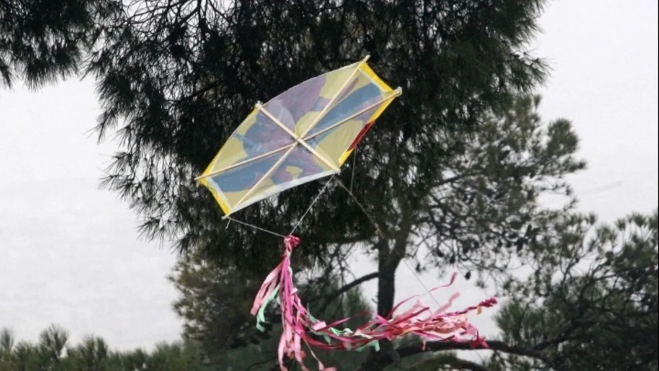 Καθαρά Δευτέρα:  Πόσο κοστίζουν φέτος θαλασσινά και λαγάνα στη Θεσσαλονίκη