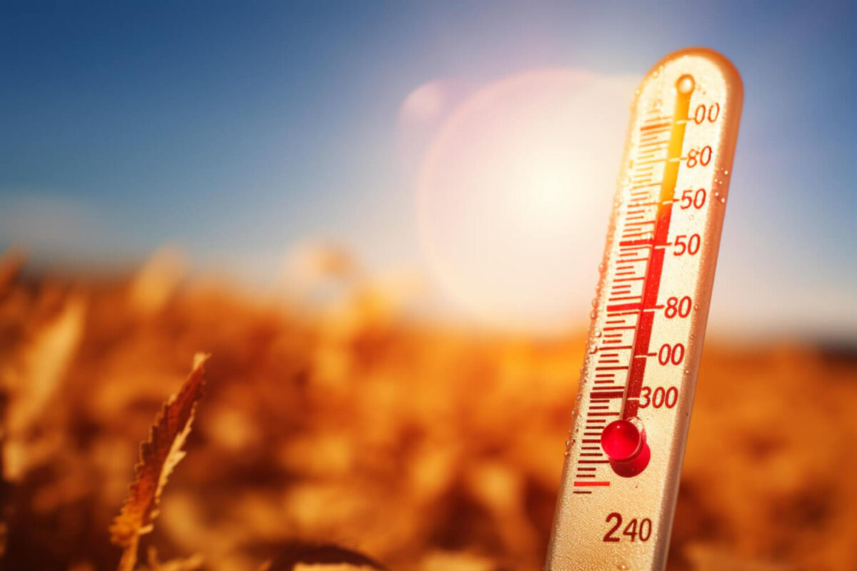 Καιρός: Έρχεται νέος καύσωνας – Μέχρι 43°C ο υδράργυρος