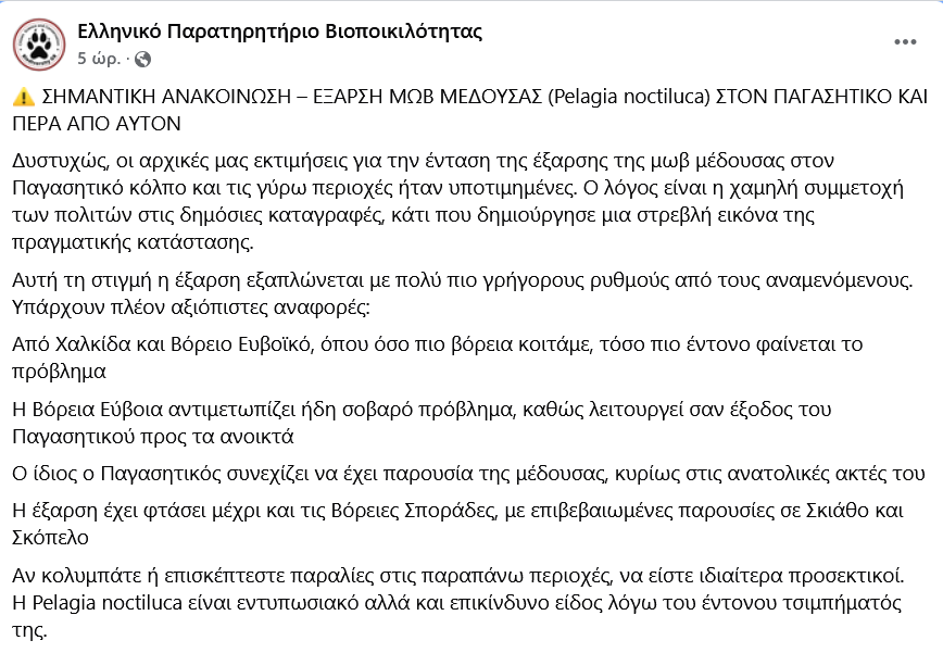 Έξαρση μωβ μέδουσας - Πού εντοπίζεται και τι να κάνετε σε περίπτωση τσιμπήματος