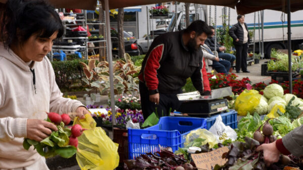 Πότε ξεκινά η απογευματινή λειτουργία όλων των λαϊκών αγορών