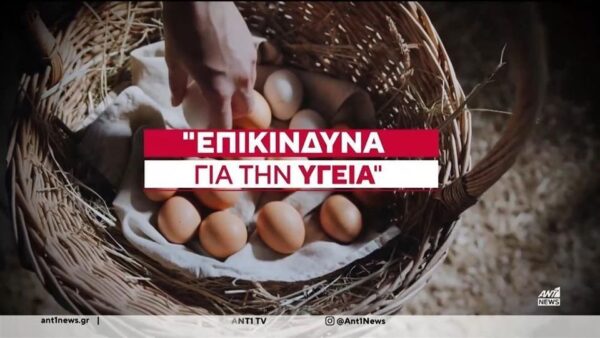 ΤΕΡΑΣΤΙΑ ανησυχία για ελληνικά αυγά: Εντοπίστηκαν με τοξικές ουσίες και φυτοφάρμακα